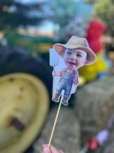 Custom Face Little Farmer Boy Cupcake Toppers review - machadomegan1